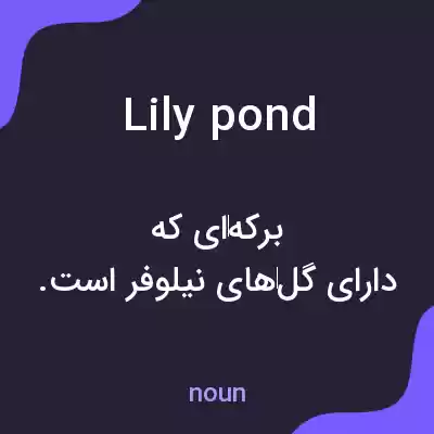 معنی lily pond به فارسی معنی lily pond به فارسی