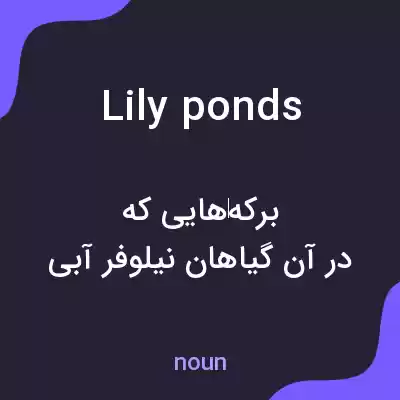 معنی lily ponds به فارسی معنی lily ponds به فارسی