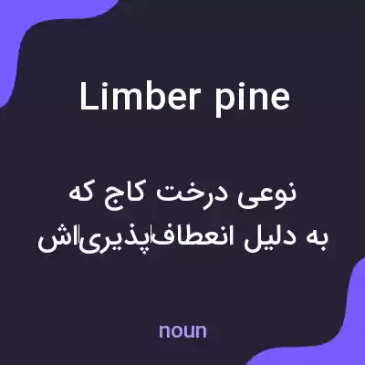 معنی limber pine به فارسی معنی limber pine به فارسی