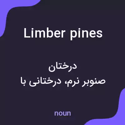 معنی limber pines به فارسی معنی limber pines به فارسی