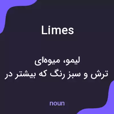 معنی limes به فارسی معنی limes به فارسی