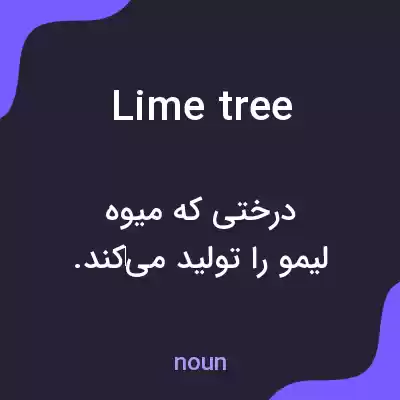 معنی lime tree به فارسی معنی lime tree به فارسی