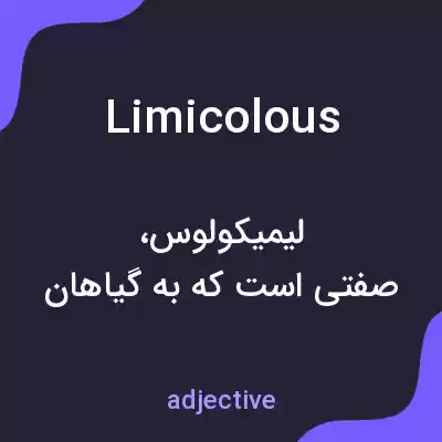معنی limicolous به فارسی معنی limicolous به فارسی