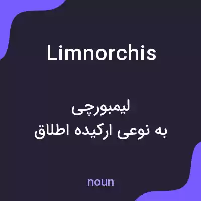 معنی limnorchis به فارسی معنی limnorchis به فارسی