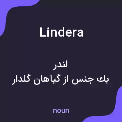 معنی lindera به فارسی معنی lindera به فارسی