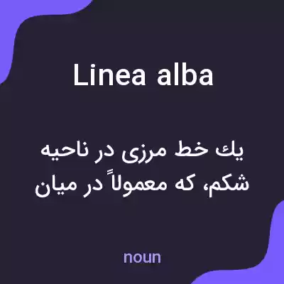 معنی linea alba به فارسی