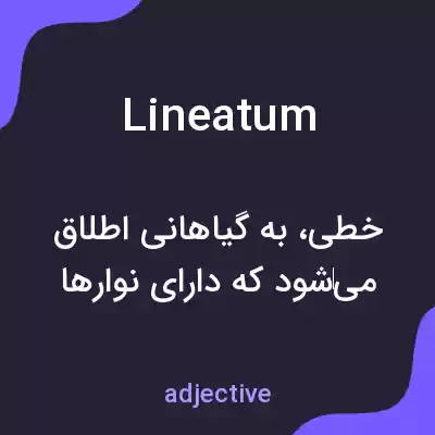 معنی lineatum به فارسی معنی lineatum به فارسی