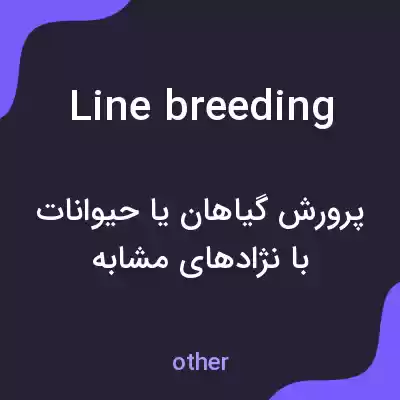 معنی line breeding به فارسی معنی line breeding به فارسی