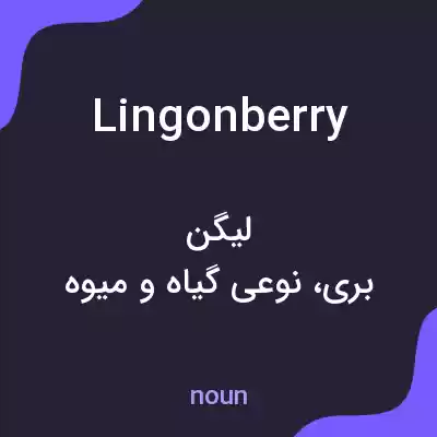 معنی lingonberry به فارسی