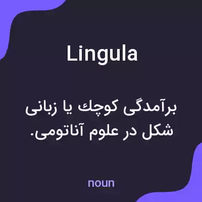 معنی lingula به فارسی معنی lingula به فارسی