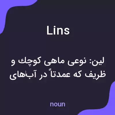 معنی lins به فارسی معنی lins به فارسی