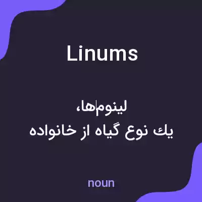معنی linums به فارسی معنی linums به فارسی