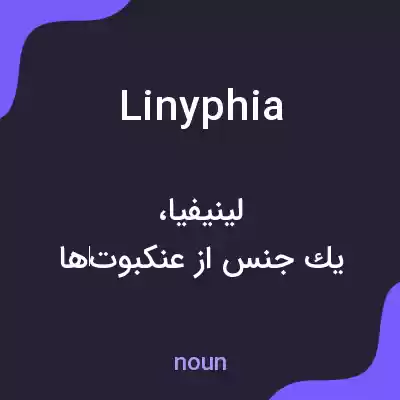 معنی linyphia به فارسی معنی linyphia به فارسی
