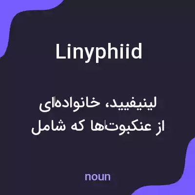 معنی linyphiid به فارسی معنی linyphiid به فارسی