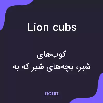 معنی lion cubs به فارسی معنی lion cubs به فارسی