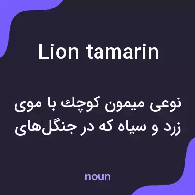معنی lion tamarin به فارسی معنی lion tamarin به فارسی