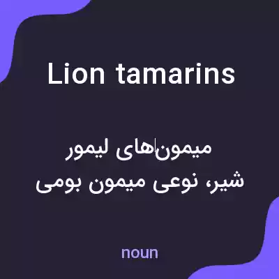معنی lion tamarins به فارسی معنی lion tamarins به فارسی