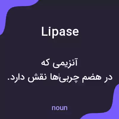 معنی lipase به فارسی معنی lipase به فارسی