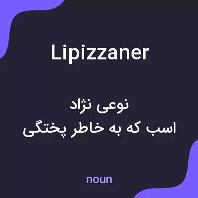 معنی lipizzaner به فارسی معنی lipizzaner به فارسی