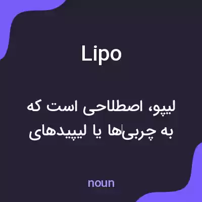 معنی lipo به فارسی