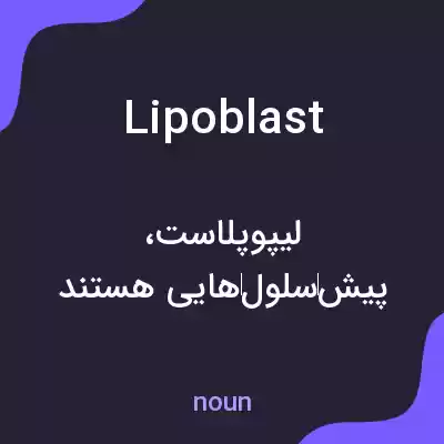 معنی lipoblast به فارسی معنی lipoblast به فارسی