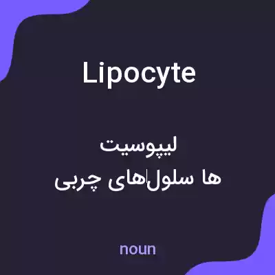 معنی lipocyte به فارسی معنی lipocyte به فارسی