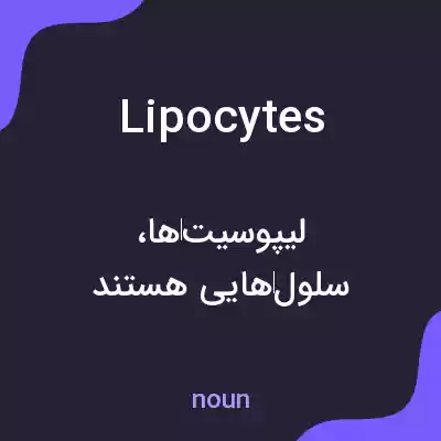 معنی lipocytes به فارسی معنی lipocytes به فارسی