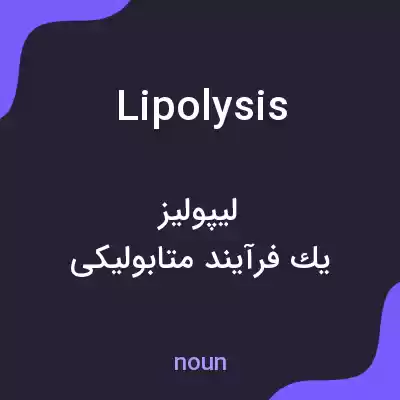 معنی lipolysis به فارسی معنی lipolysis به فارسی