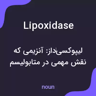 معنی lipoxidase به فارسی معنی lipoxidase به فارسی