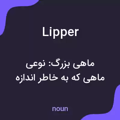 معنی lipper به فارسی معنی lipper به فارسی