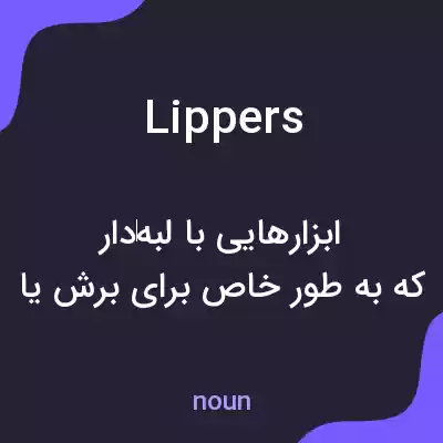 معنی lippers به فارسی معنی lippers به فارسی