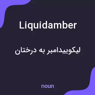 معنی liquidamber به فارسی معنی liquidamber به فارسی
