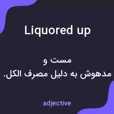معنی liquored up به فارسی