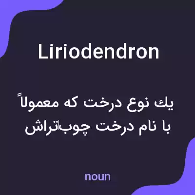 معنی liriodendron به فارسی