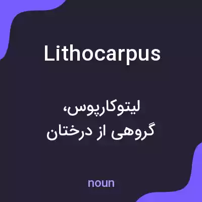 معنی lithocarpus به فارسی معنی lithocarpus به فارسی