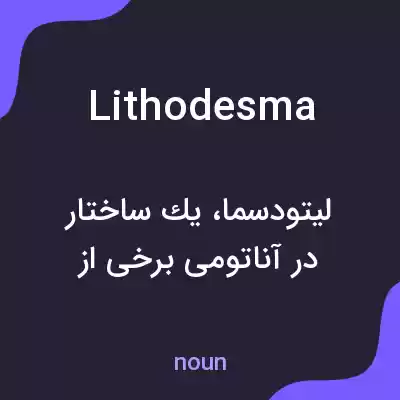 معنی lithodesma به فارسی