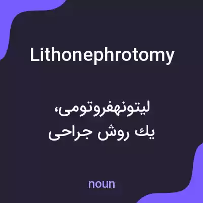 معنی lithonephrotomy به فارسی معنی lithonephrotomy به فارسی