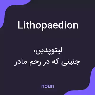 معنی lithopaedion به فارسی معنی lithopaedion به فارسی