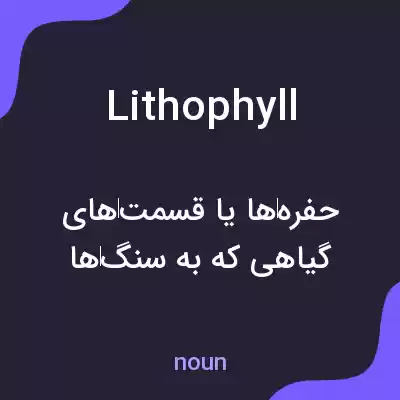 معنی lithophyll به فارسی معنی lithophyll به فارسی