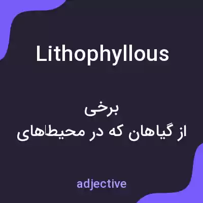 معنی lithophyllous به فارسی معنی lithophyllous به فارسی