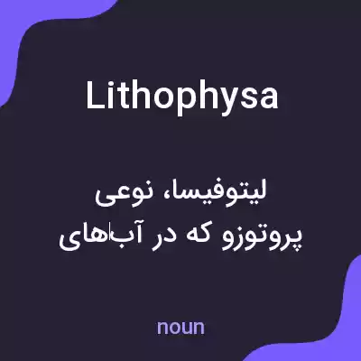 معنی lithophysa به فارسی معنی lithophysa به فارسی