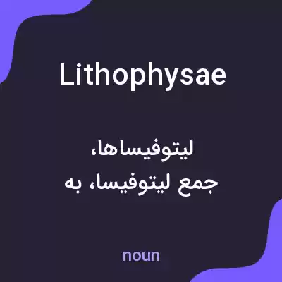 معنی lithophysae به فارسی معنی lithophysae به فارسی