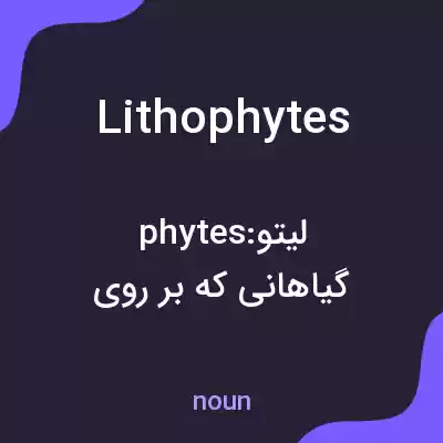 معنی lithophytes به فارسی معنی lithophytes به فارسی