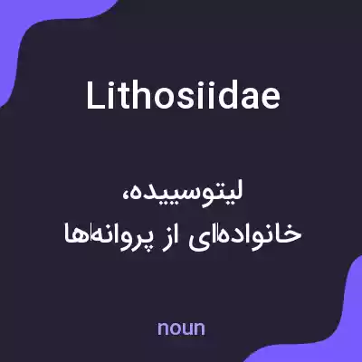 معنی lithosiidae به فارسی معنی lithosiidae به فارسی