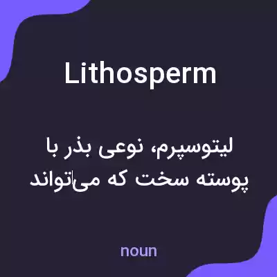 معنی lithosperm به فارسی معنی lithosperm به فارسی