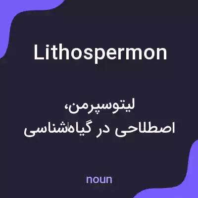 معنی lithospermon به فارسی معنی lithospermon به فارسی