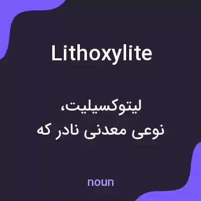 معنی lithoxylite به فارسی معنی lithoxylite به فارسی