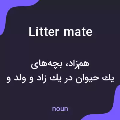 معنی littermate به فارسی معنی littermate به فارسی