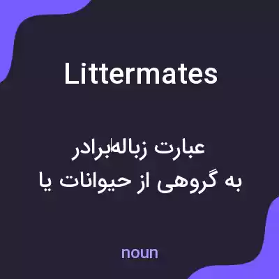 معنی littermates به فارسی معنی littermates به فارسی