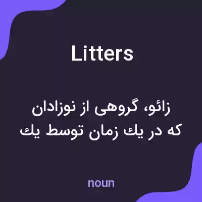 معنی litters به فارسی